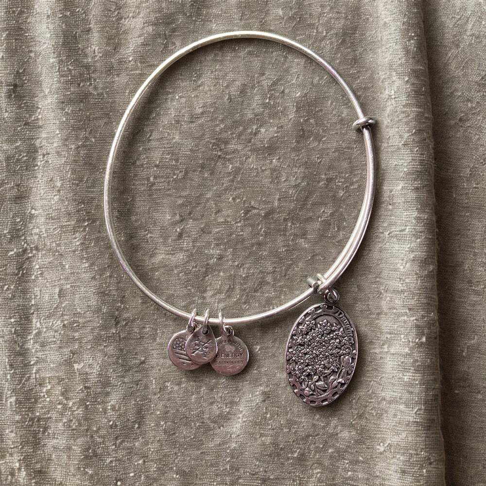 Alex and Ani "Because I Love You Daughter II" Charm Bangle Bracelet